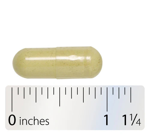 Vitamin C W/ Quercetin+ Citrus 180 Caps