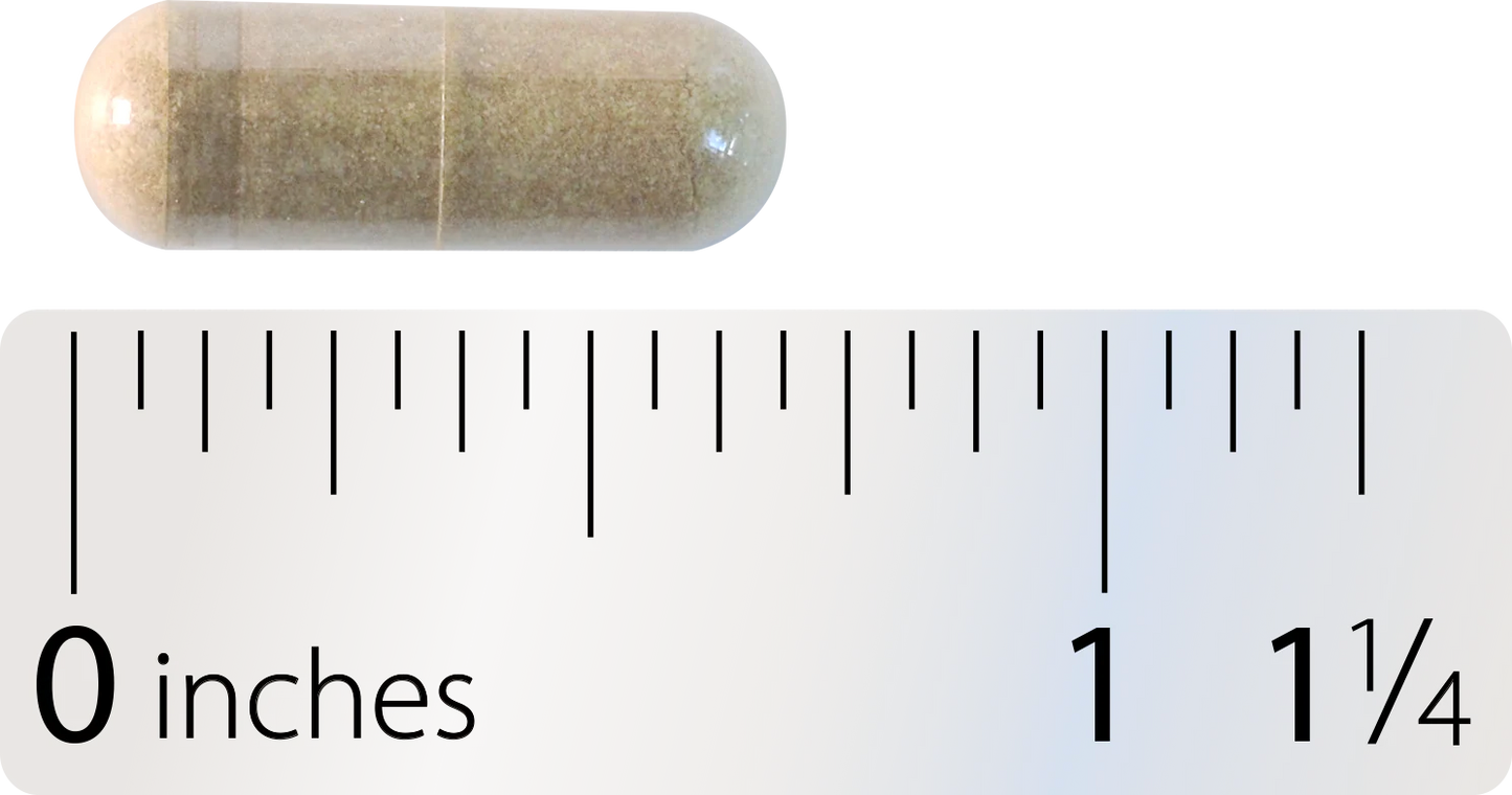 Motility Activator 60 Caps