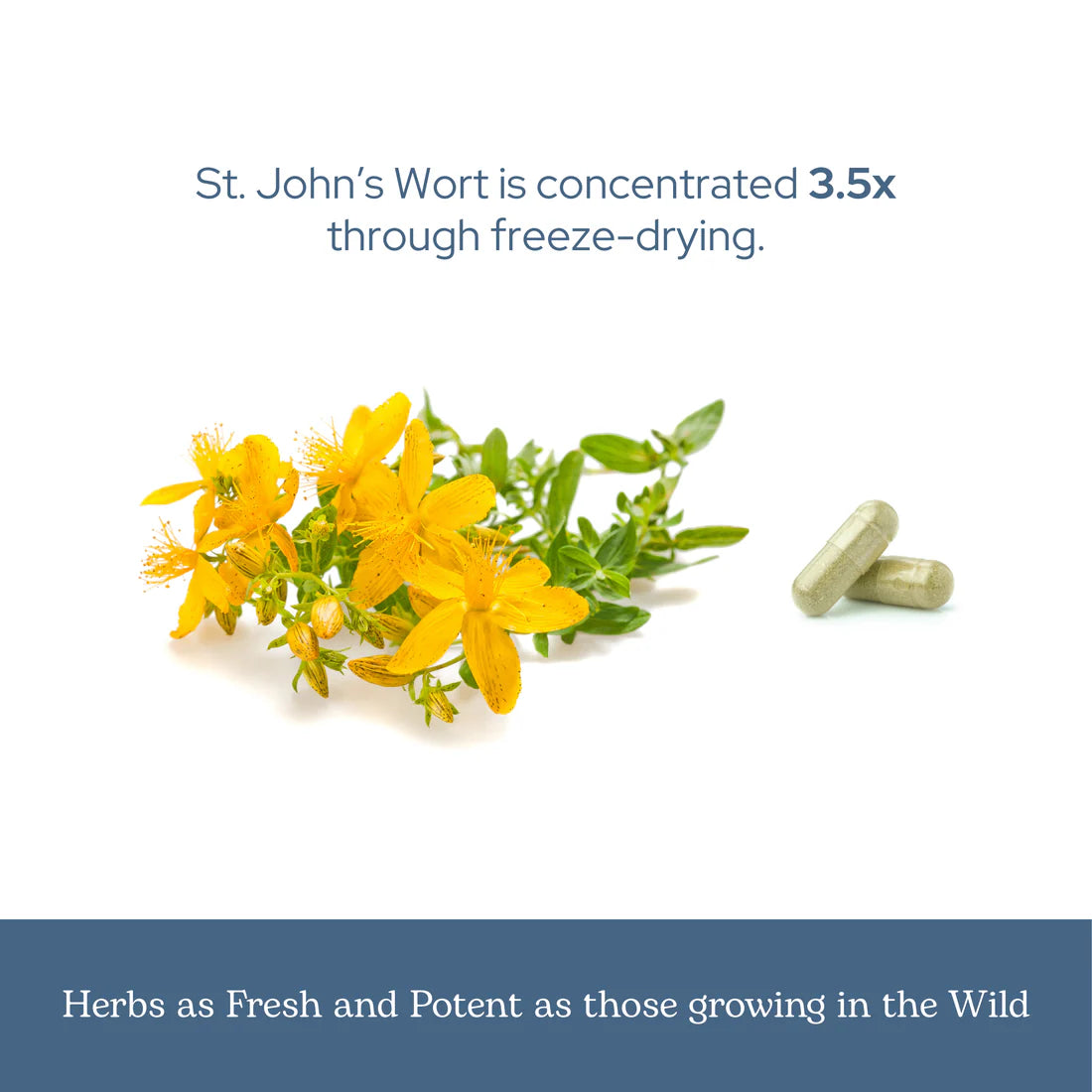 St Johns Wort 90 Veg Caps