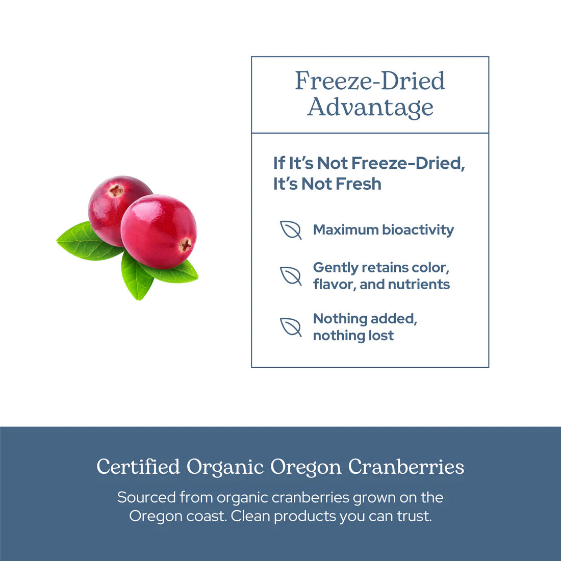 Cranberry 300mg 50 VCaps