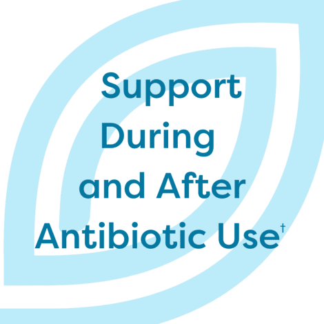 Abx Support 60 Caps
