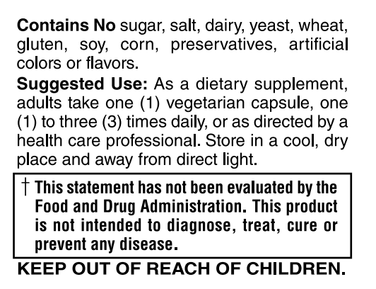 L Theanine 100mg 120 VCaps