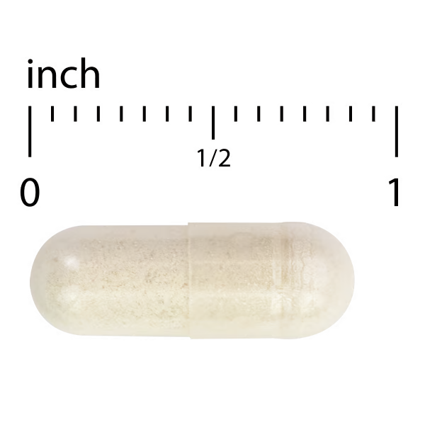 Acne Essentials 60 Caps