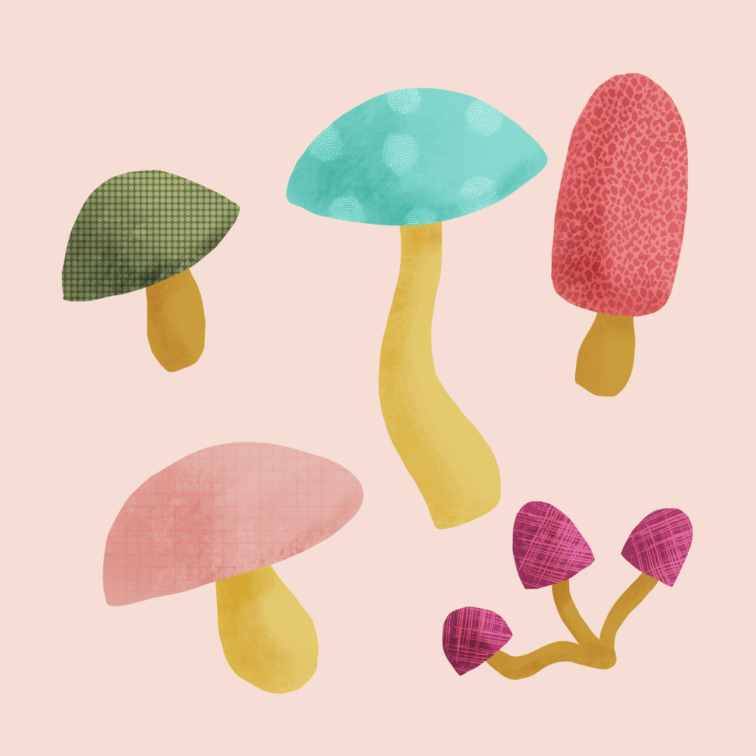 Boost Your Immunity This Winter with Organic Mushroom Immune Support