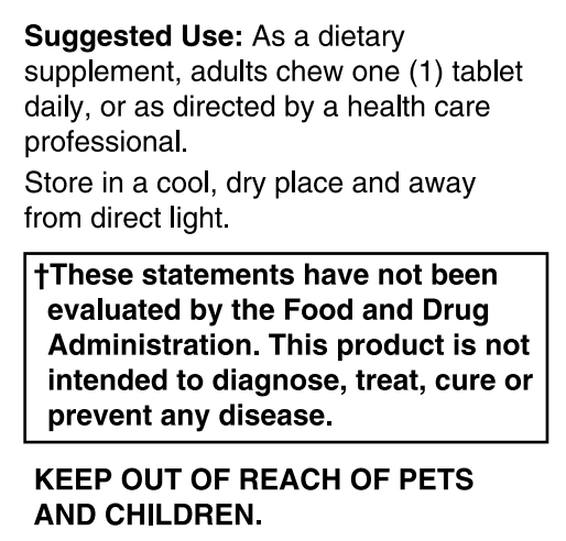 Adult Probiotic 10 Billion CFU 60 Chewable Tablets