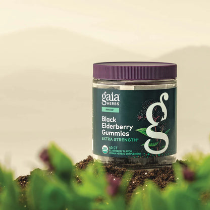 Extra Strength Black Elderberry 40 CT