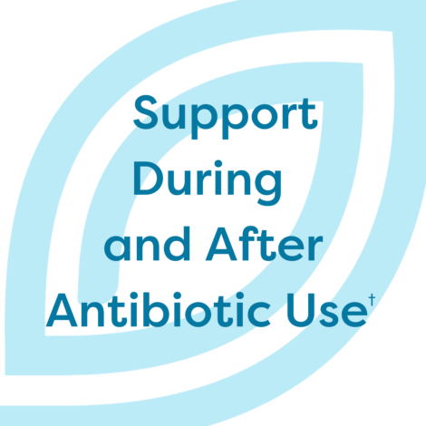 Abx Support  28 Caps