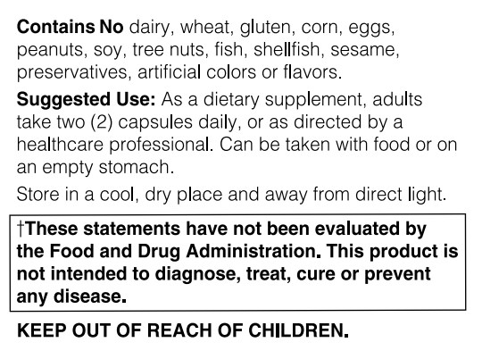 Mushroom Immune Support Organic 60 Vegan Caps