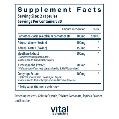 Adrenal Support 60 Caps