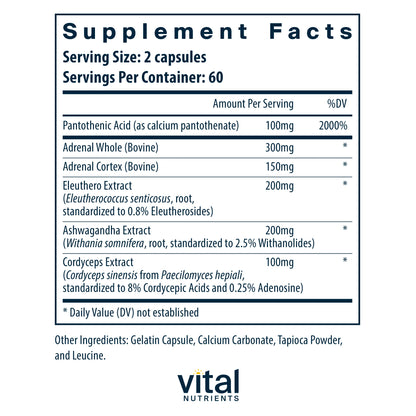 Adrenal Support   120  Caps