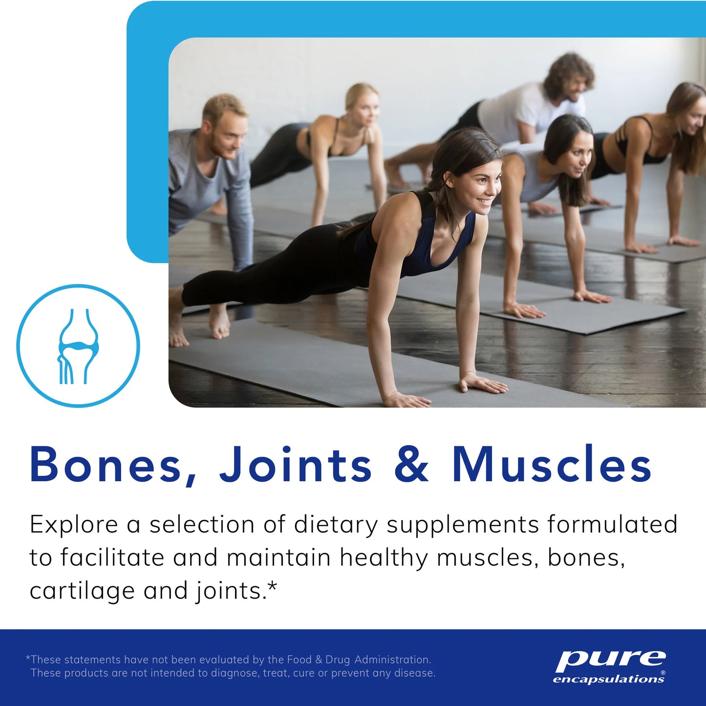 Glucosamine Chondroitin W MSM   240 Caps