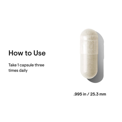 Glucosamine Chondroitin 90 Caps