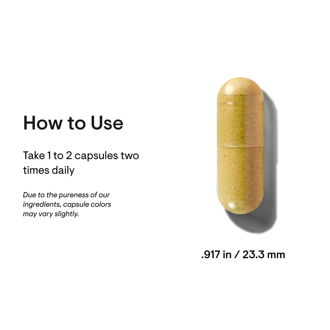 Berberine 500 Mg  60 Caps