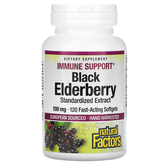 Black Elderberry